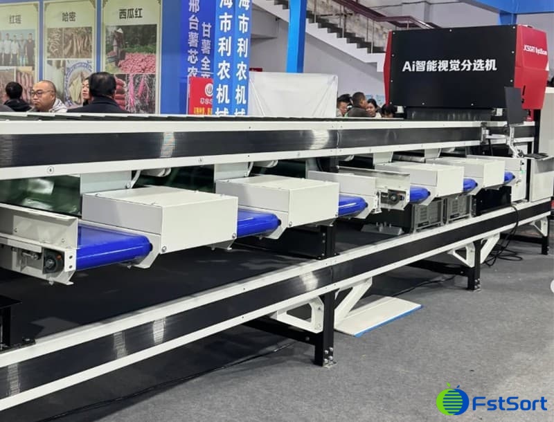 images/1734334573010Máquina clasificadora inteligente de batata AI.jpg